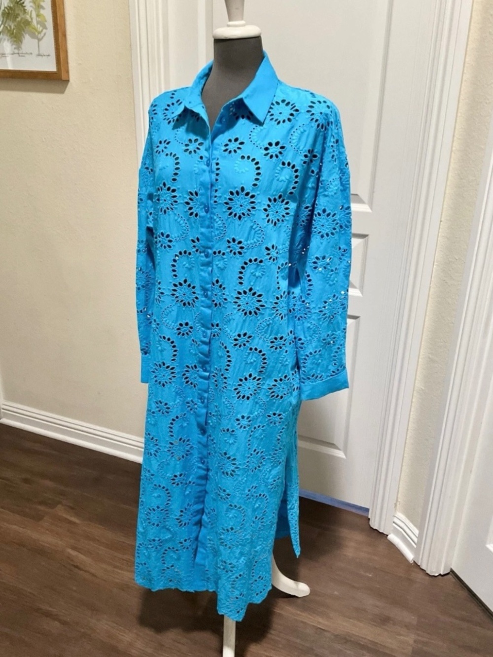 Anthropologie dRA Los Angeles Women's Shirt Dress 100% Cotton Blue Eyelet